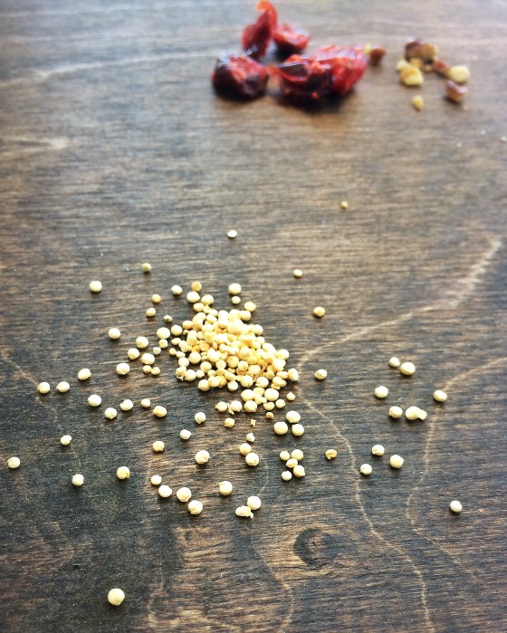 cranberry pecan quinoa | almostrd.wordpress.com